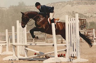 horse jump