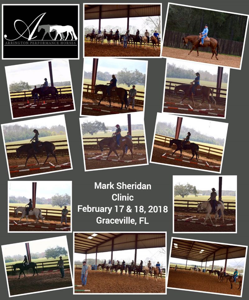 Speaking & Clinics Mark Sheridan Quarter Horses, Inc.